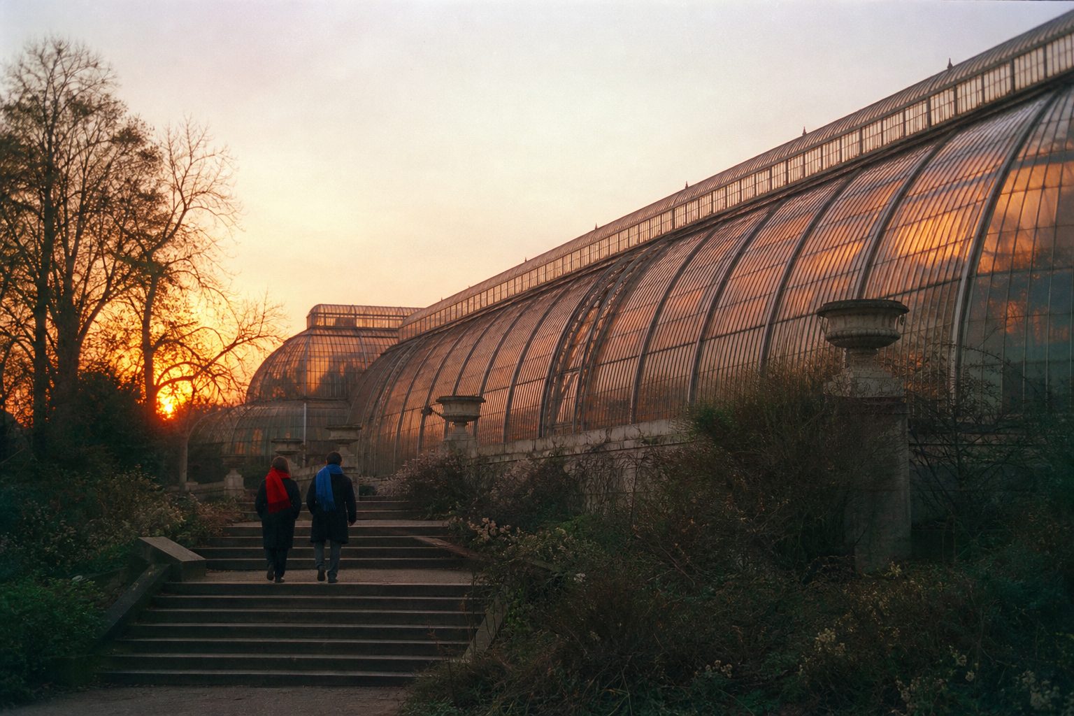 Victorian glass and iron conservatory glowing at sunset above stone steps (picture made with AI)