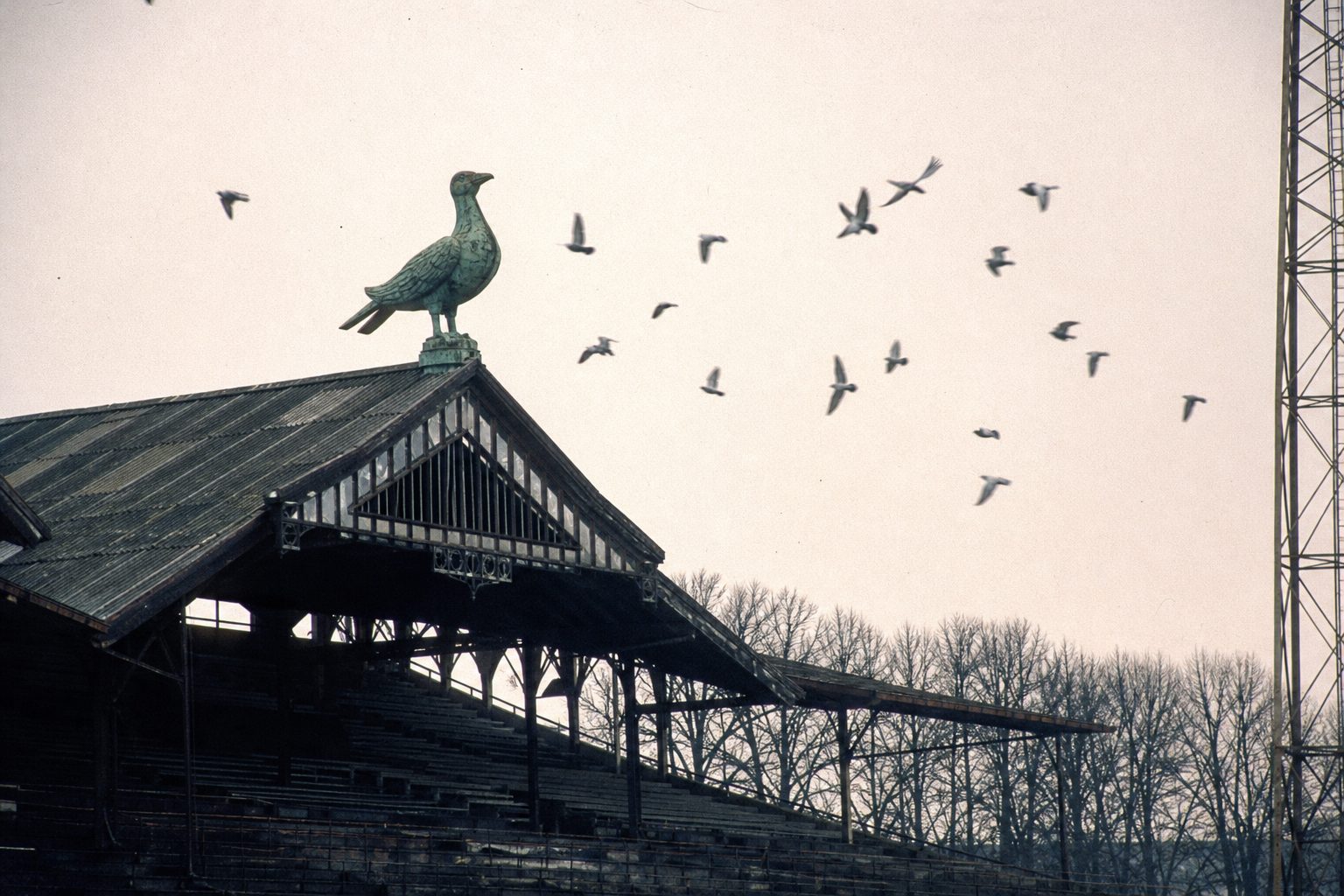 Weathered copper bird statue on a grandstand roof against a pale winter sky (picture made with AI)